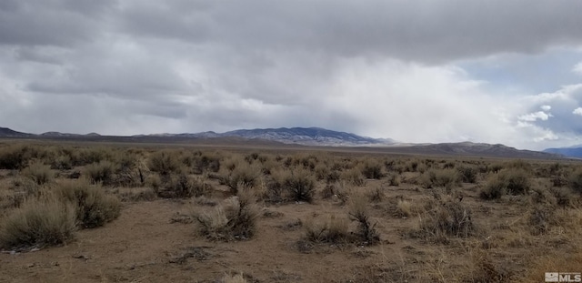 330 Eagle Pl, Smith NV, 89430 land for sale