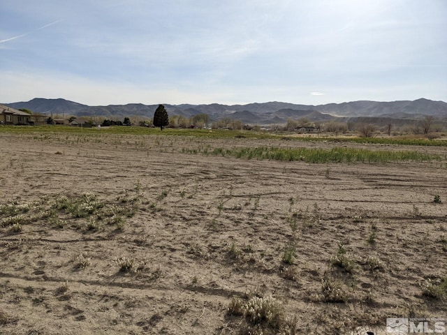 907 S Whitacre St, Yerington NV, 89447 land for sale