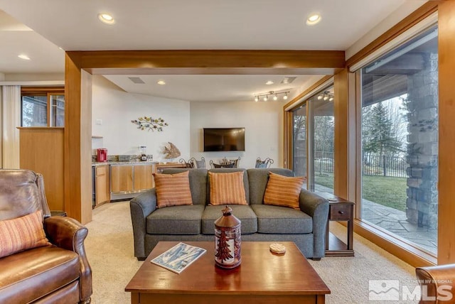 living room featuring light colored carpet and a wealth of natural light