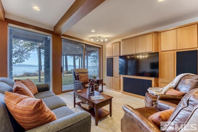 living room featuring rail lighting and light colored carpet