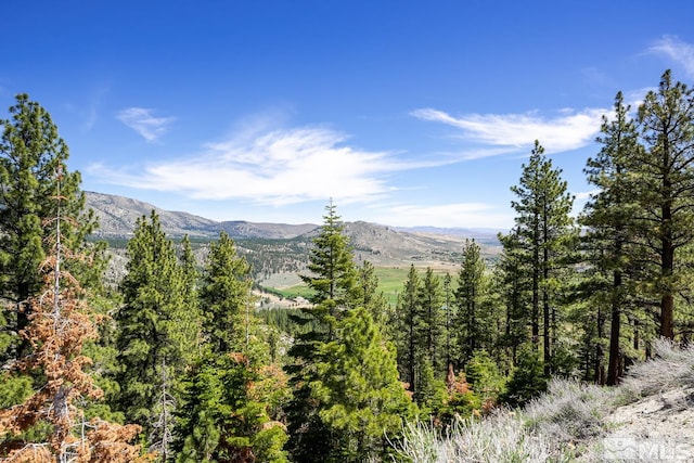 2960 Jacks Vly, Genoa NV, 89411 land for sale