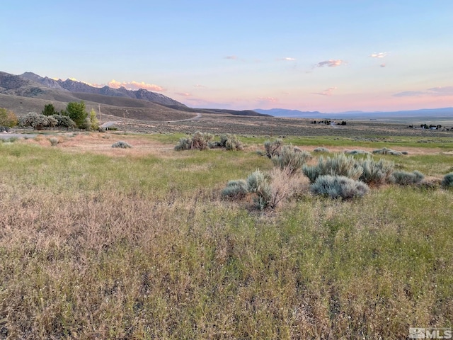 12245 Pershing Trl, Lovelock NV, 89419 land for sale