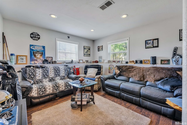 living room featuring dark hardwood / wood-style flooring