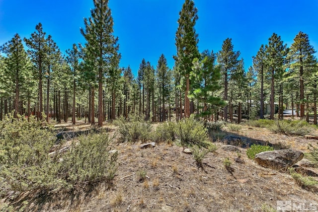 405 Yellow Pine Rd, Reno NV, 89511 land for sale