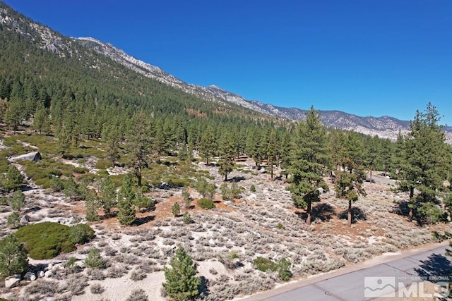 Listing photo 2 for 168 Five Creek Rd, Gardnerville NV 89460