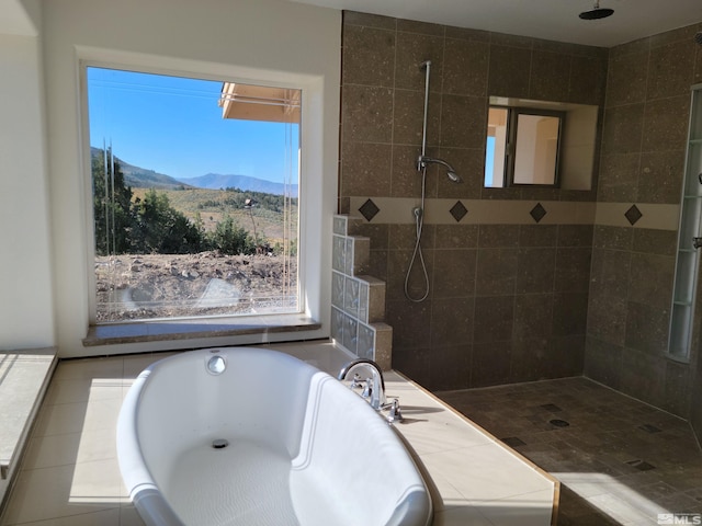 bathroom with plenty of natural light, plus walk in shower, and a mountain view