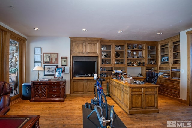 home office featuring light hardwood / wood-style floors