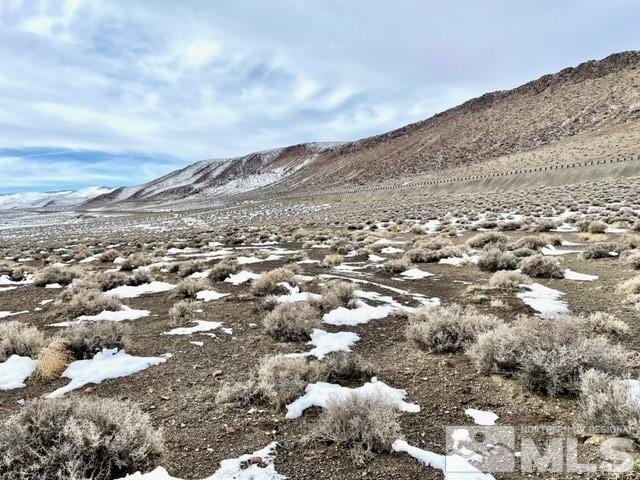 8420 S Hwy 95a, Silver Springs NV, 89429 land for sale