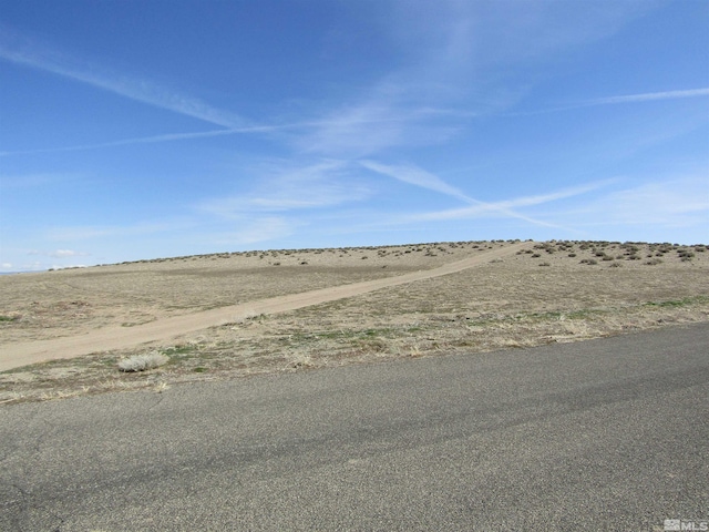 0 Tognoli Ln, Yerington NV, 89447 land for sale