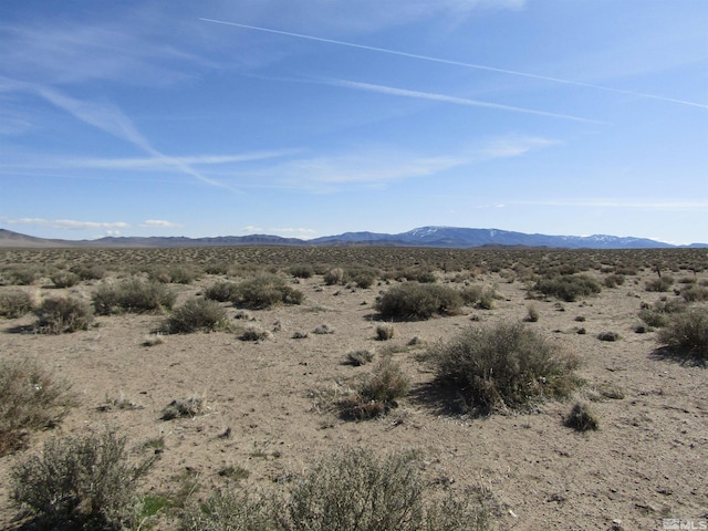 Listing photo 2 for 0 Tognoli Ln, Yerington NV 89447