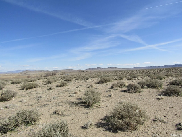 Listing photo 3 for 0 Tognoli Ln, Yerington NV 89447