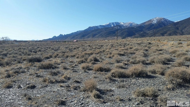 102 Ophir, Kingston NV, 89310 land for sale