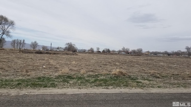 Listing photo 2 for 0 Jamestown Ave, Lovelock NV 89419