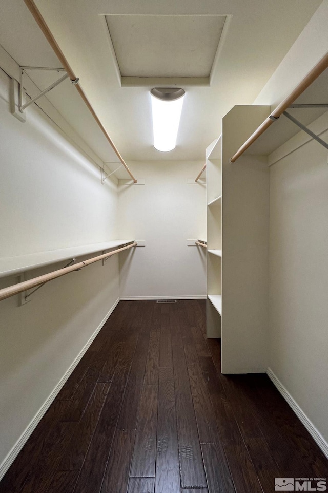 walk in closet featuring dark hardwood / wood-style flooring