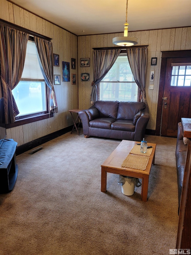 carpeted living room with wooden walls and plenty of natural light