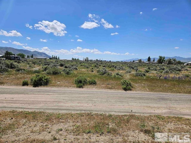 Lupine Dr, Winnemucca NV, 89445 land for sale