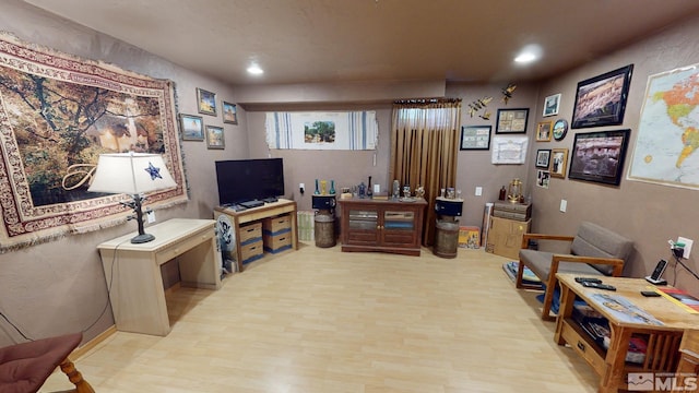 living room featuring light hardwood / wood-style floors