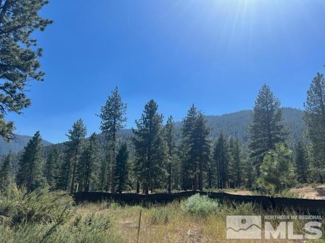 3582 Knob Point Trl, Carson City NV, 89705 land for sale