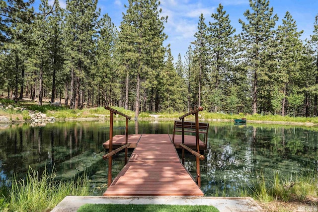 dock area with a water view