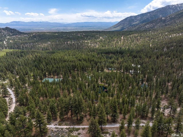 view of mountain view