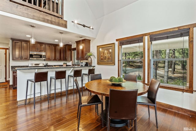 dining room featuring high vaulted ceiling and dark wood-type flooring