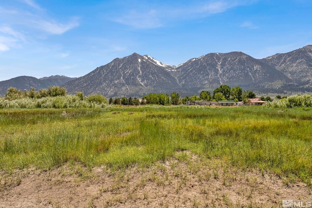 Listing photo 3 for W Fork Vis, Gardnerville NV 89460