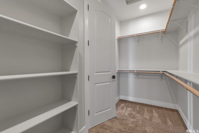 spacious closet with light carpet