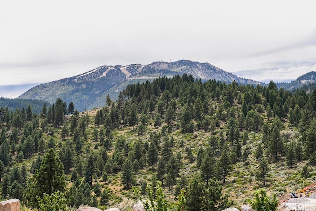 view of mountain feature