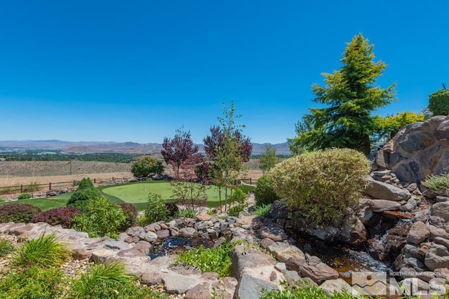 view of yard featuring a mountain view