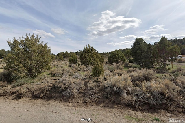 Listing photo 3 for 2417 Cartwright Rd, Reno NV 89521