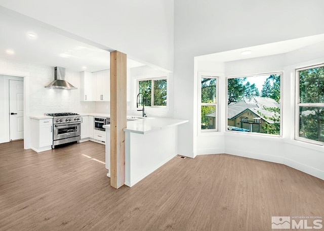 interior space with stainless steel appliances, wall chimney range hood, hardwood / wood-style flooring, and white cabinets