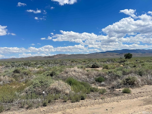 436 State Route 338, Wellington NV, 89444 land for sale