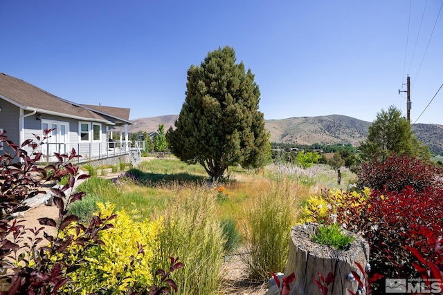 view of yard with a mountain view