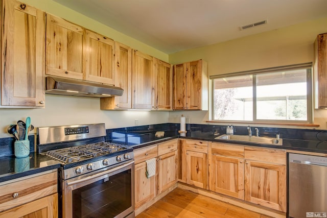 kitchen featuring light hardwood / wood-style floors, appliances with stainless steel finishes, and sink