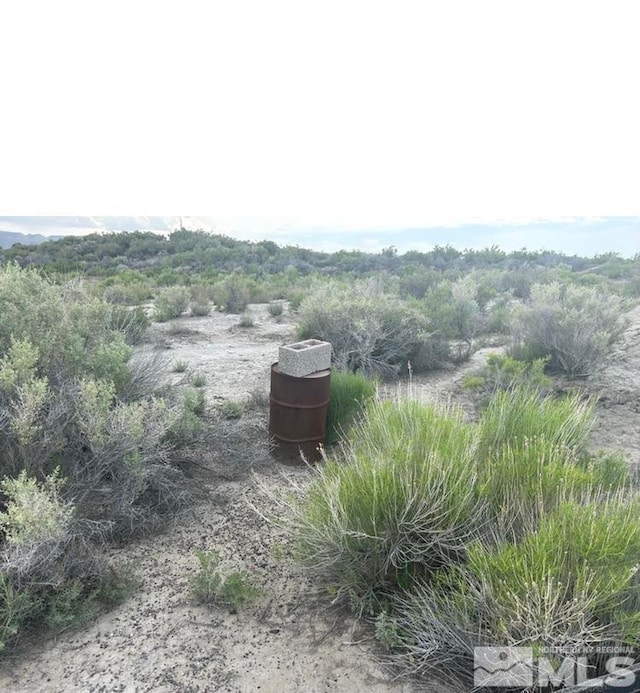 Listing photo 3 for 2215 Wagon Train Rd, Lovelock NV 89419