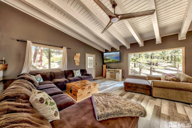 living room featuring wood ceiling, light hardwood / wood-style floors, ceiling fan, and lofted ceiling with beams