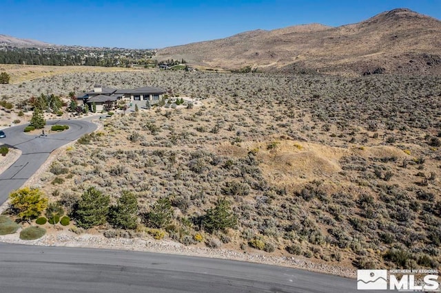 Listing photo 3 for 230 Shepherds Bush Ct, Reno NV 89511