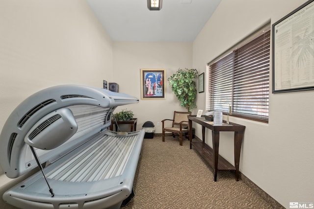 living area with dark colored carpet