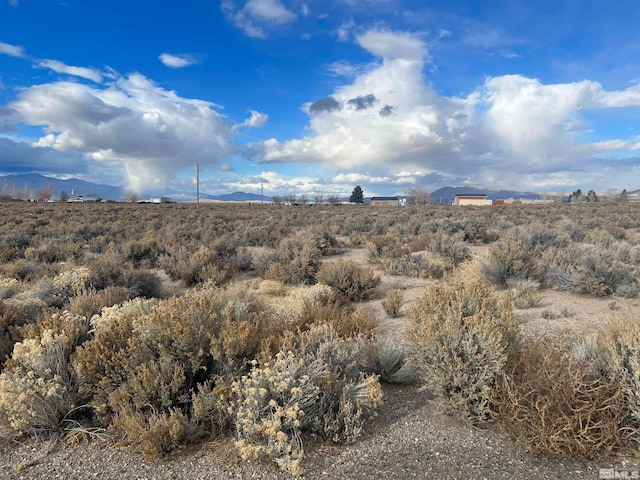 62 Acciari Rd, Smith NV, 89430 land for sale