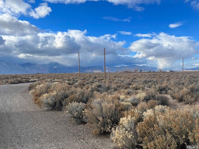 Listing photo 2 for 62 Acciari Rd, Smith NV 89430