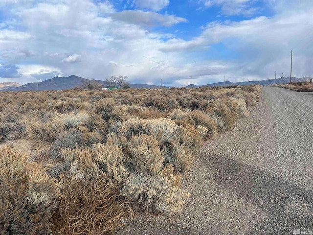 Listing photo 3 for 62 Acciari Rd, Smith NV 89430