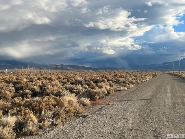 Listing photo 2 for 6 Acciari Rd, Smith NV 89430