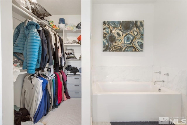 spacious closet featuring carpet