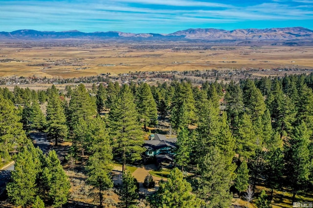 birds eye view of property featuring a mountain view