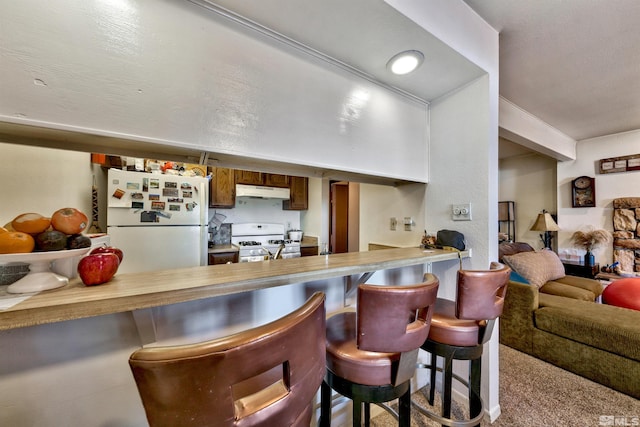 bar with stove, carpet flooring, fridge, and ventilation hood