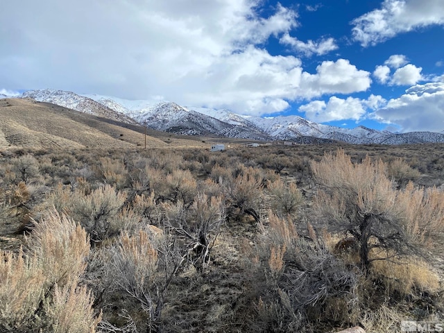 12275 Churchill Trl, Lovelock NV, 89419 land for sale