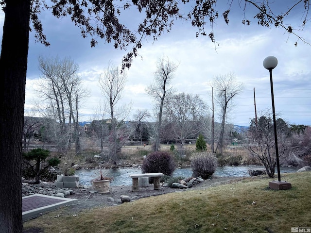 view of property's community with a water view and a lawn