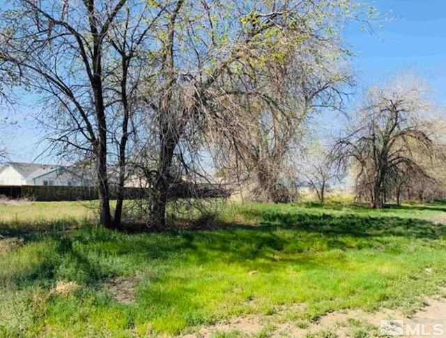 Listing photo 3 for Maine St Unit 6.04, Acres, Fallon NV 89406