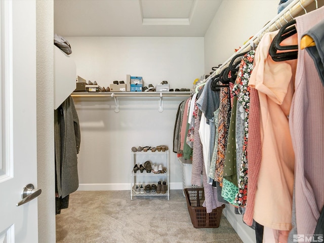 spacious closet featuring light colored carpet