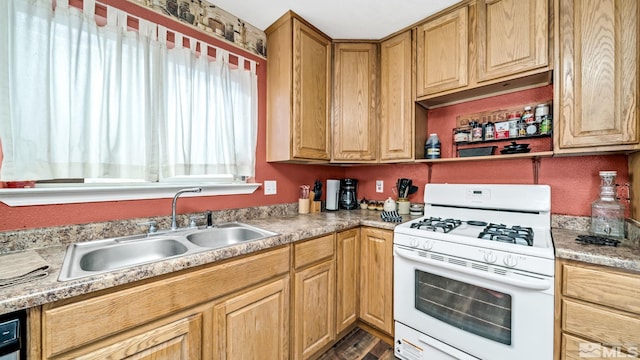 kitchen with white gas range oven, sink, and dark wood-type flooring